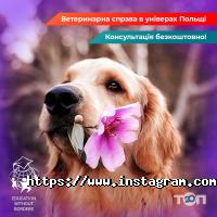 відгуки про Освіта без кордонів фото