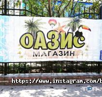 Бази відпочинку Ельдорадо фото