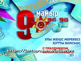 Bobber Bro отзывы фото