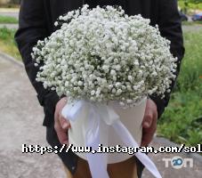 Solo Flowers, квітковий салон фото