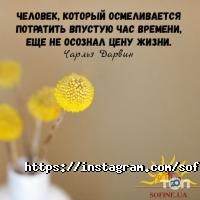 відгуки про SOFINE фото