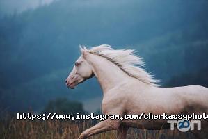 Курси, тренінги PhotoCity фото