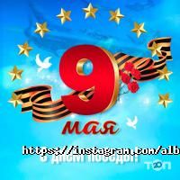 Alberto отзывы фото
