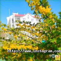 відгуки про Едем фото