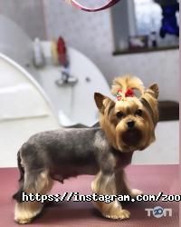 Грумінг-салон відгуки фото