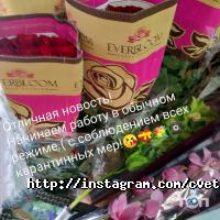 Цветландия Николаев фото