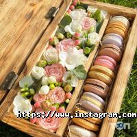 Dandelion Київ фото