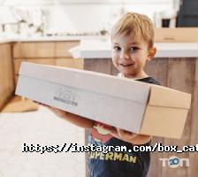 Box Catering, служба доставки фото