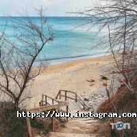 відгуки про Palace Del Mar фото