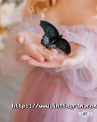 El'amor, агентство весільних торжеств фото