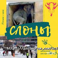 отзывы о Поехали с нами фото