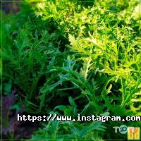 Бази відпочинку Едем фото