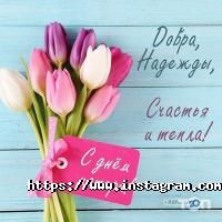 7 continent Вінниця фото