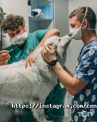 Ветеринарні клініки Центр клінічної ветеринарії фото