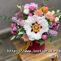 Zefir, квітковий магазин фото