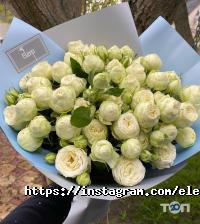 Elena flowers відгуки фото