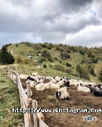 відгуки про Join Up фото