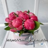 Art Holidays Дніпро фото