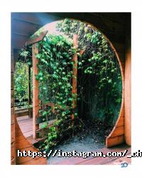 Chaguan відгуки фото