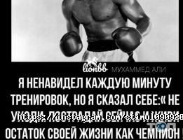 Стимул отзывы фото