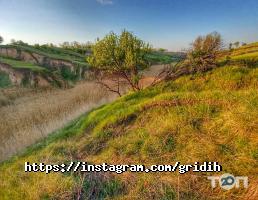 відгуки про Фотостудія Flash Studio фото