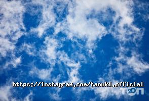 Танукі Київ фото