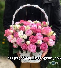 Оформлення залу, доставка квітів Solo Flowers фото