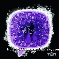 Next shoes відгуки фото