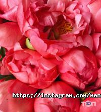 Menta Floral Design відгуки фото