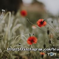 Bratislava відгуки фото