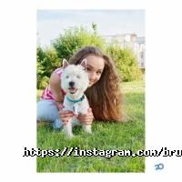 Bruno Groom, зооцентр фото