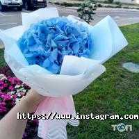 Happy Day відгуки фото