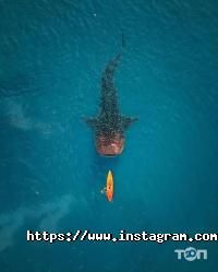 Viewpoint, туристичне агентство фото