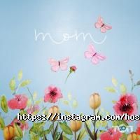 Готелі, хостели Good night фото