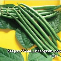 Все для саду Agrolife фото