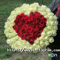 Zefir отзывы фото