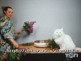 Asant Studio, школа професійної флористики фото