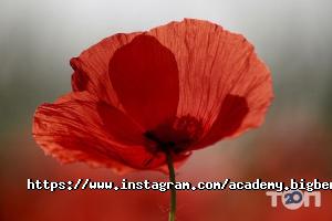 Big Ben Запоріжжя фото