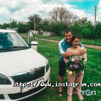 відгуки про Nars Cars фото