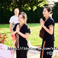 Elephant Київ фото