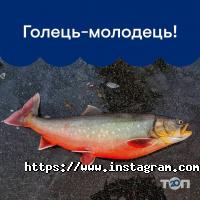 Супермаркети, продуктові магазини Seadora фото