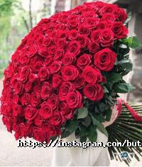 Бутон Харків фото