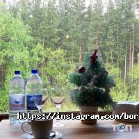 Земляничная поляна отзывы фото