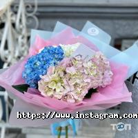 Магазини квітів Odessa flowers фото
