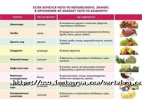 Частные клиники Вертебра фото