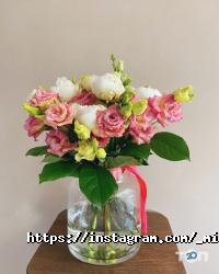 Missis Norris Дніпро фото