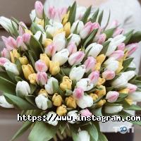 Fiore mix отзывы фото