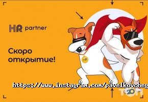 Ведучий, тамада Павло Ковчег фото