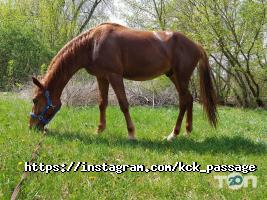 Пассаж отзывы фото