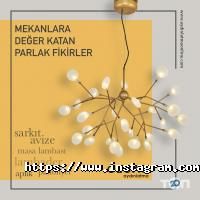 Світлячок Одеса фото